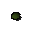 Guam seed