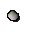 White rose seed