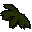 Kelp
