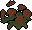 Chrysanthemum