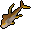 Orangefin