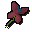 Red vine blossom