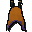 Witch cloak