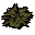 Tea leaves
