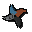 Shark fragments