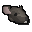 Rat