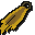 Team-19 cape