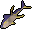 Purplefin