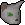 Pet kitten