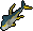 Raw yellowfin