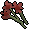 Exotic flower