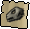 Lizard skull