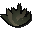 Goutweed