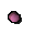 Orchid seed