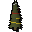 Wintumber tree