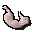 White hare meat