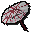 Blossom parasol