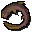 Short-finned eel
