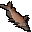 Catfish