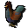 Rooster