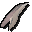 Thalassus tooth