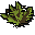 Grimy snake weed