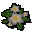 Lush blossoms