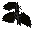 Dead sapling