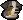 Bernese mountain dog puppy