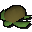 Raw sea turtle