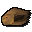Large shell