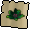 Medivaemia blossom