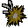 Huge fallen star (Prayer)