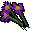 Purple flowers