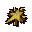 Medium supreme star