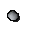 Snowdrop seed