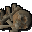Ancient remains