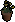 Terracotta daffodil pot