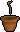 Apple sapling
