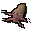 Dazed sea slug