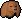 Stray puppy