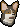 Corgi puppy