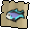 Raw rainbow fish