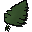 Palm leaf