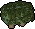 Tall box hedge
