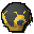 Exquisite orb