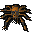 Fever spider