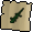 Swamp lizard