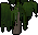 Willow tree