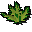 Clean snake weed